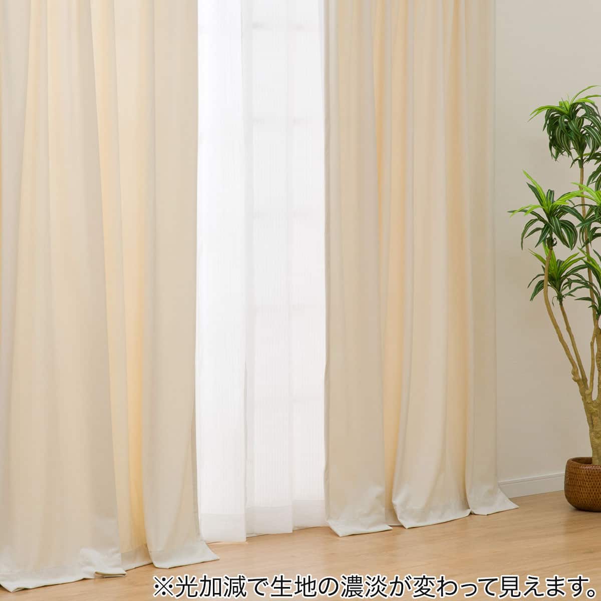 保温・遮熱ベロア調カーテン(MJ11 100x185x2 IV56) | ニトリネット