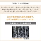 ミラー・花粉キャッチレースカーテン(RL183 100X108X2) 7枚目画像