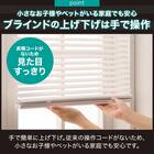 ヒモなし簡単昇降PVCブラインド(LX01 WH 176X210) 2枚目画像