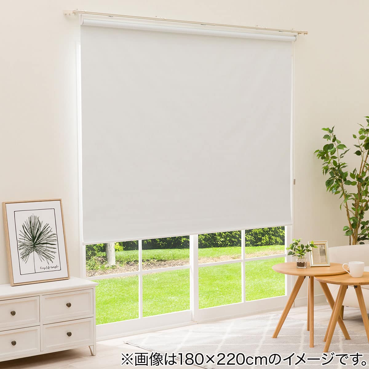 ワンタッチ操作で昇降できる電動ロールスクリーン(T1WH 80X220