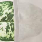 【UVカット・遮熱・保温・昼遮像】日除けに最適な遮熱カフェカーテン 100X45 BE 5枚目画像