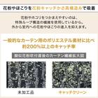 (1枚入り)花粉キャッチ・遮像・遮熱レースカーテン(RL205 100X108X1) 5枚目画像