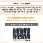 (1枚入り)花粉キャッチ・遮像・遮熱レースカーテン(RL205 100X108X1) 6枚目画像