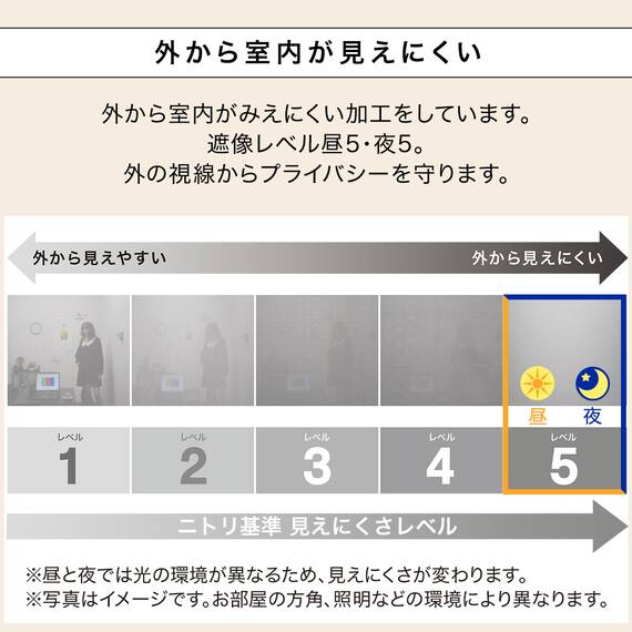 (1枚入り)花粉キャッチ・遮像・遮熱レースカーテン(RL205 100X108X1) 7枚目画像