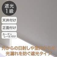 遮光ロールスクリーン ドルフィン(グレー)