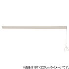 遮像・遮熱レースロールスクリーン(JY01K ホワイト 30×180) 5枚目画像