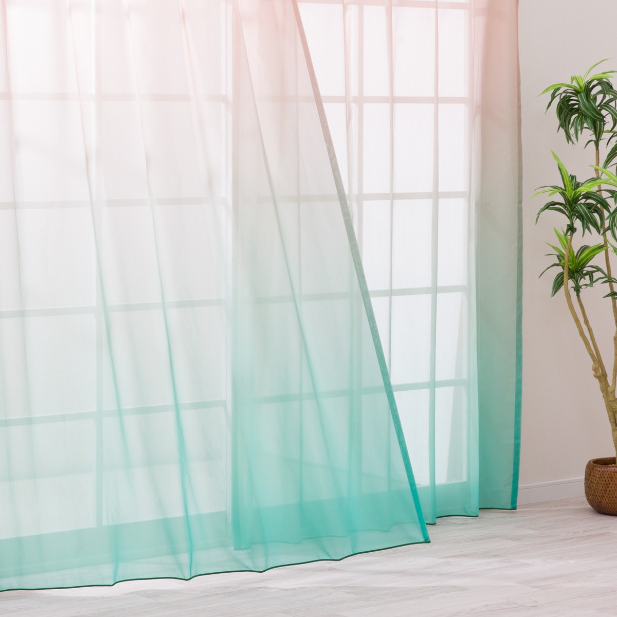 SNS映え】色鮮やかなグラデーションレースカーテン 182サイズ(NTW10612