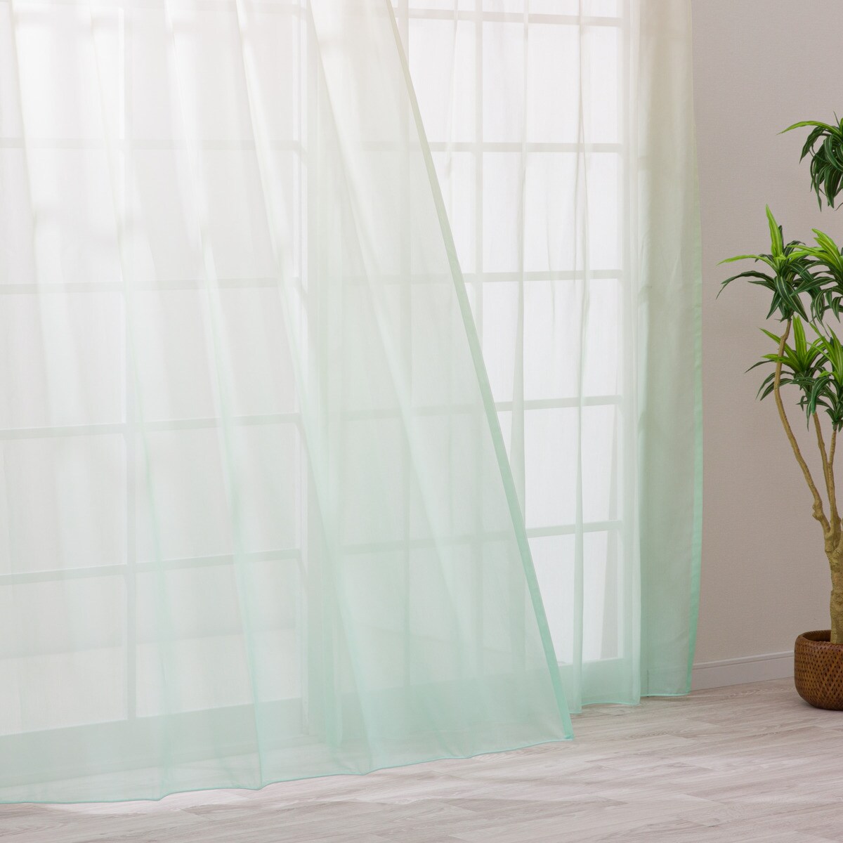 SNS映え】色鮮やかなグラデーションレースカーテン 182サイズ(NTW10612