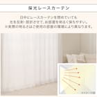 遮像・採光レースカーテン(RL208 100X108X2) 8枚目画像