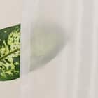 遮像・採光レースカーテン(RL208 100X108X2) 7枚目画像