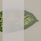 伸縮バーチカルカーテン(VC1 ホワイト 240X230) 9枚目画像