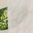 【もこもこ立体レースカーテン(日本製)】　遮像・遮熱・保温・UVカット156サイズ (VL7173　100x68x2) 5枚目画像