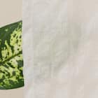 【もこもこ立体レースカーテン(日本製)】 遮像・遮熱・保温・UVカット156サイズ (VL7173 100x68x2) 5枚目画像