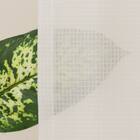 【風を通すレースカーテン(日本製)】　通気性・昼遮像・遮熱・UVカット156サイズ (JAB4222　100x68x2) 11枚目画像