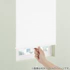 フリーカットハニカム構造のシェード(HC1 28X110) 1枚目画像