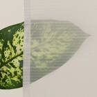 カフェカーテン(LC1 100X45) 6枚目画像