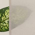 カフェカーテン(LC2 150X75) 6枚目画像