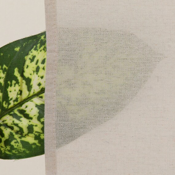 カフェカーテン(LC2 150X75) 6枚目画像