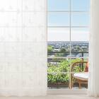 デザインレースカーテン(RL209 アイボリー 100X108X2) 1枚目画像