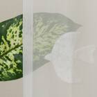 デザインレースカーテン(RL209 アイボリー 100X108X2) 4枚目画像