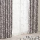 デザインレースカーテン(RL209 アイボリー 100X108X2) 7枚目画像