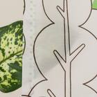 遮像・UVカット・遮熱・保温 182サイズ 北欧風キッズレースカーテン (NTW10630 100X133X2) 6枚目画像