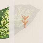 心安らぐ・北欧風のもこもこ刺繍レースカーテン 273サイズ Forest (NTW4234 100X68X2) 9枚目画像