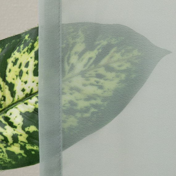 グラデーションレースカーテン(RL240 グリーン 100X108X2) 6枚目画像