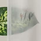 デザインレースカーテン(RL218 アイボリー 100X108X2) 6枚目画像