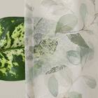 デザインレースカーテン(RL222 グリーン 100X108X2) 6枚目画像