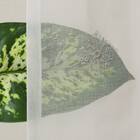 デザインレースカーテン(RL224 アイボリー 100X108X2) 6枚目画像