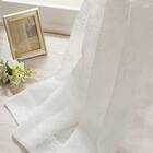 デザインレースカーテン(RL226 アイボリー 100X108X2) 1枚目画像