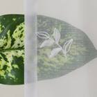 デザインレースカーテン(RL227 アイボリー 100X108X2) 6枚目画像