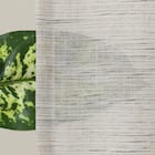 デザインレースカーテン(RL228 ベージュ 100X108X2) 6枚目画像