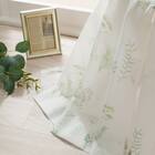 デザインレースカーテン(RL229 グリーン 100X108X2) 1枚目画像