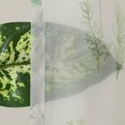 デザインレースカーテン(RL229 グリーン 100X108X2) 6枚目画像