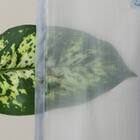 デザインレースカーテン(RL231 ブルー 100X108X2) 6枚目画像