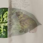 デザインレースカーテン(RL234 ベージュ 100X108X2) 6枚目画像