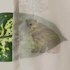 デザインレースカーテン(RL234 ベージュ 100X108X2) 6枚目画像