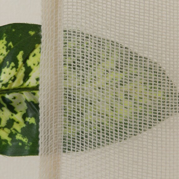 デザインレースカーテン(RL245 100X108X2) 7枚目画像