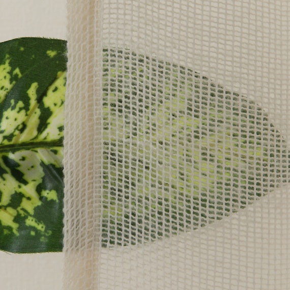 デザインレースカーテン(RL245 100X108X2) 7枚目画像