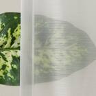 遮光1級･遮熱カーテン＆ミラーレース4枚セット(RP021 ネイビー 100X110X4) 12枚目画像