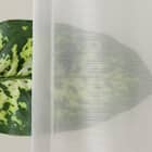 遮光1級・遮熱カーテン&ミラーレース4枚セット(RP021 ネイビー 100X110X4) 12枚目画像