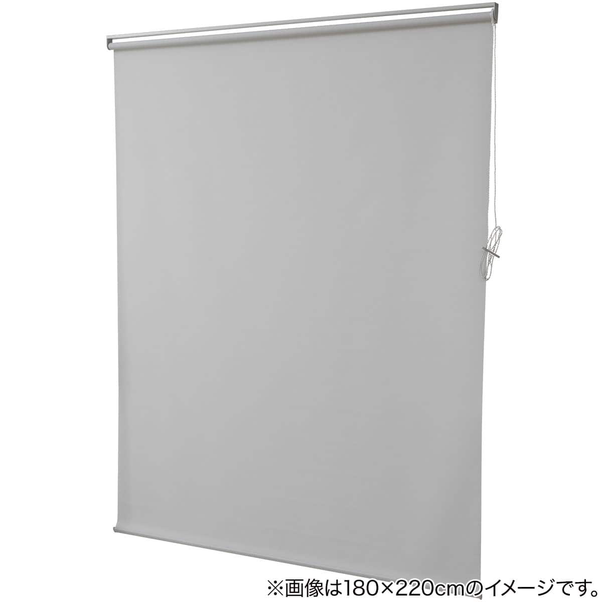 採光ロールスクリーン(AS02 モカ 90X220) | ニトリネット【公式】 家具