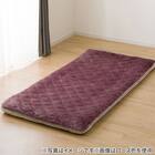 置くだけ簡単 敷きパッド セミダブル(NウォームWSP A2411DMOSD) 3枚目画像