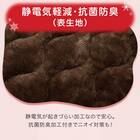 置くだけ簡単 敷きパッド セミダブル(NウォームWSP A2411DMOSD) 13枚目画像