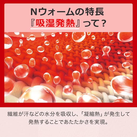 2枚合わせ ブランケット(NウォームWSP A24 DMO) 4枚目画像