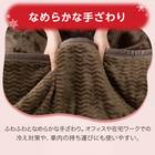 2枚合わせ ブランケット（NウォームWSP A24 DMO） 7枚目画像