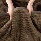 2枚合わせ ブランケット（NウォームWSP A24 DMO） 18枚目画像