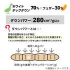 【日本製】ホワイトダックダウン70% 羽毛布団(ムーンシャンテン クイーン) 6枚目画像